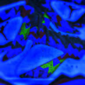 Meet your Posher, Thomas